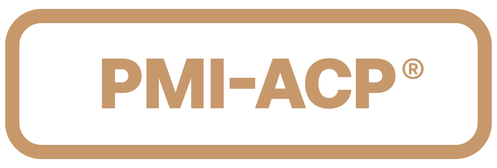 smarterexecution-rep-pmi