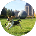 André Azevedo profile picture